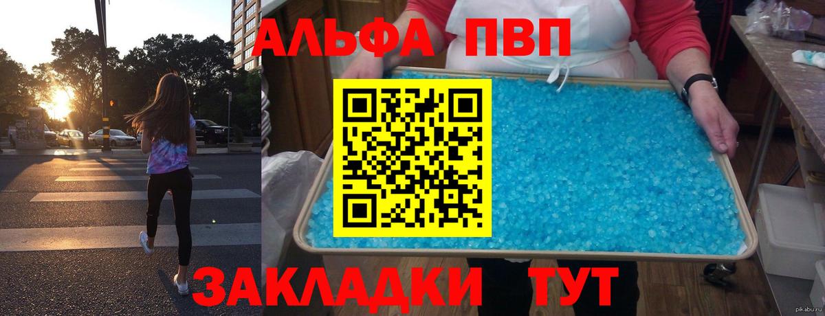 ГАШ Кингисепп