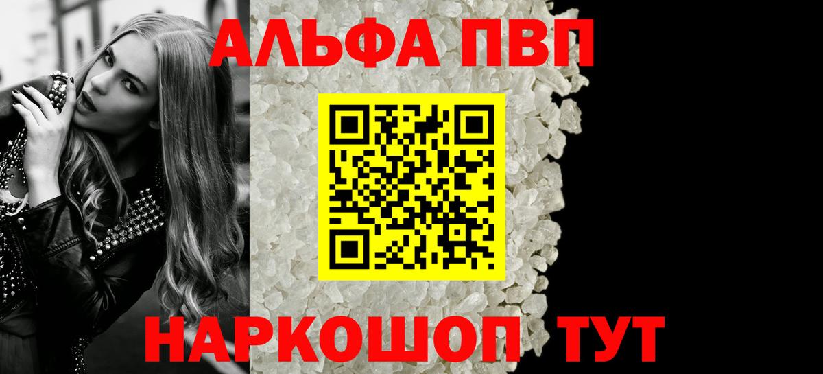 Alfa_PVP СК Кингисепп